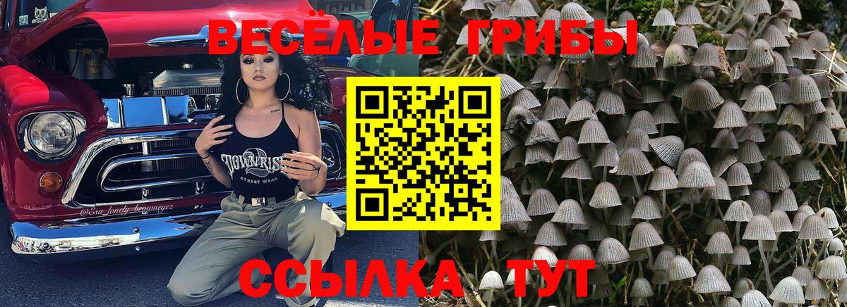 Галлюциногенные грибы GOLDEN TEACHER  Галлюциногенные грибы ЛСД  Вход с VPN  Донской 